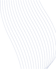 行業(yè)轉(zhuǎn)型加速