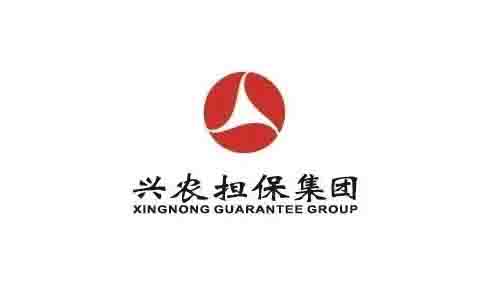 【重慶興農(nóng)擔(dān)保集團(tuán)】鍛造運(yùn)維能力底座，精益信息化管理